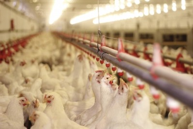 Amendments to meat regulations mean the maximum amount of brine that can be injected into poultry has increased