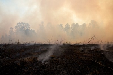 Global Forest Watch data shows 52% of the fires are on peatlands. When peatlands burn they release high levels of methane, meaning the impact on climate is 200 times greater than fires on other lands. Photo credit: Samir Arora