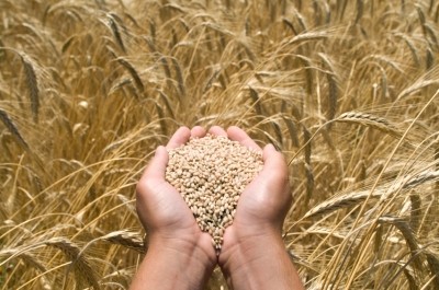 Definitions of whole grain vary from country to country