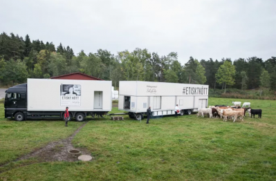 The mobile abattoir is capable of slaughtering around 150 cows per week