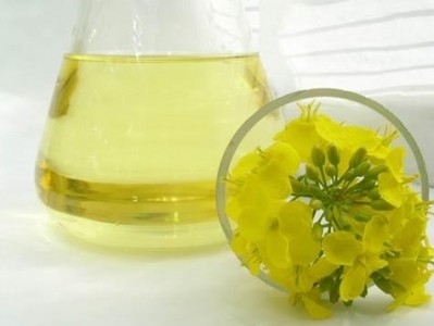 Rapeseed oil is the most widely cultivated in Europe