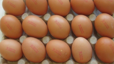 Salmonella egg outbreak affects 14 countries