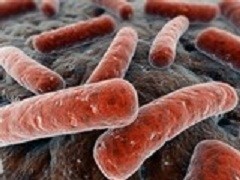 CDC surveillance report on pathogens linked to deaths