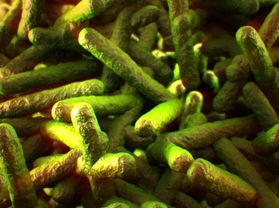 Roka: Listeria environmental control has become paramount. Picture: ©iStock  