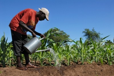 NGO accuses EU company of illegal African land grabs