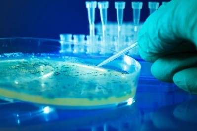 EFSA has awarded just under €1m in grants to characterise microbial pathogens