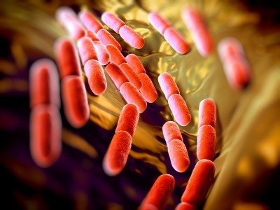 Probiotic bacteria has been widely researched for its ability to help fight gut-related diseases such as inflammatory bowel syndrome and Crohn’s disease. (Image: iStock.com)