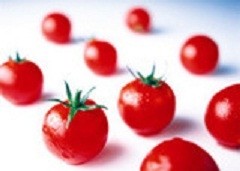 Salmonella in tomatoes post-harvest