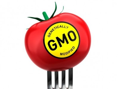 Global non-GMO market could reach $800bn by 2017; demand not unanimous