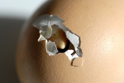 The Russian firm wants to be self-sufficient in egg hatching