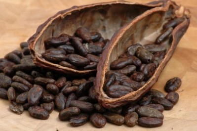 Nestlé says it has been able to improve cocoa yields in some cases by 200%