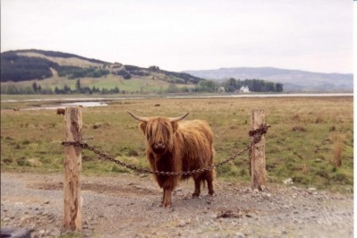 Scotbeef promoted in China