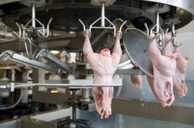 Growth in Belarusian poultry plants has been largely down to equipment upgrades
