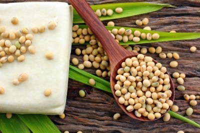 Soy isoflavones could help anti-obesity efforts – study