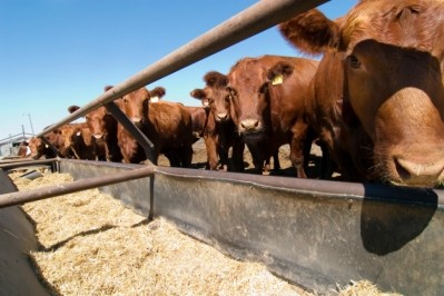 Argentina, Brazil and New Zealand all boosted exports of beef to China in 2015