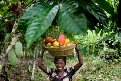 Women small-scale farmers in Africa own just 1% of agricultural land, but make up 60% of the global agricultural workforce. Photo credit: Rainforest Alliance