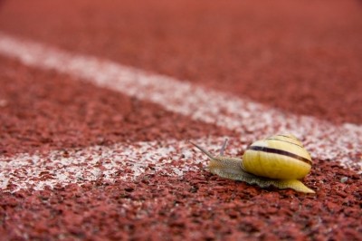 Is the switch to natural happening at a snail's pace? © iStock / Rafal Olechowski