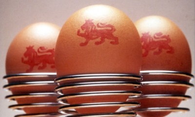 British Lion eggs sourcing call after salmonella scare 
