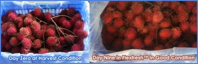 harvest condition Day 0 and Day 9 Picture: Uflex