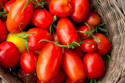 Researchers identified genetic difference between bland, modern tomato breeds and the tastier classic varieties ©iStock 
