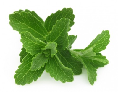 Stevia is a zero calorie sweetener that is natural and suitable for diabetics. ©iStock/bdspn