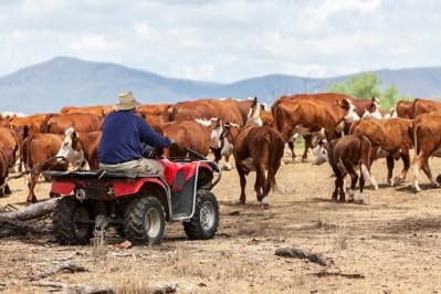 Australia is on its (quad) bike to grow red meat sales in Britain as Brexit threatens trade