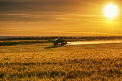 Wheat fertilized with human urine could create a more sustainable food and farming system. Pic: GettyImages/frostyy1108
