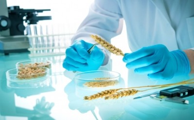 Grains provide a functional ingredient to develop novel formulations, as well as being clean label-friendly, so it’s critical to ensure they are safe. Pic: GettyImages/AlexRaths