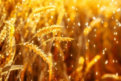 Global warming will increase the likelihood of water shortages and decrease the world's wheat supply. Pic: GettyImages/alex_ugalek