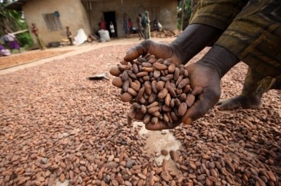 Sustainable production and farmer livelihoods is a key action in Olam Cocoa's new plans