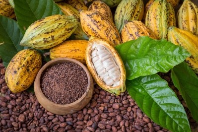 Cocoa trees naturally absorb cadmium from soils via their roots and deposit it in the nibs (centre) of cocoa beans. Pic: As You Sow