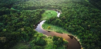 'Business leaders support bold EU actions to eliminate imported deforestation'. Pic: Nestlé  