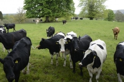 About 300 dairy farmers will be eligible for reimbursement if the scheme is approved.