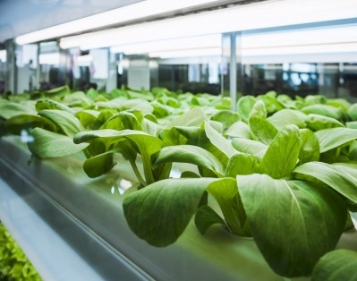 'No longer a niche, experimental, and risky sector': Agrifoodtech pulls in $26.1bn in 2020