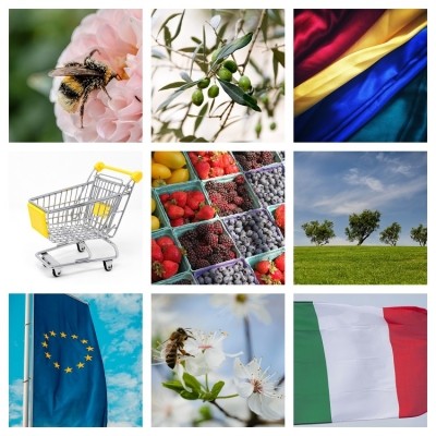 EU urged to simplify nutritional labelling, Romania cuts VAT on healthy foods: Brussels Bulletin