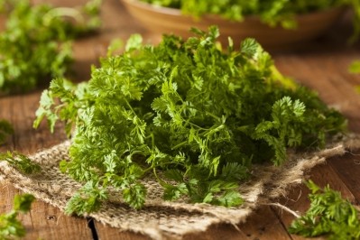 Will this be the year that chervil blossoms? Image: Getty/bhofack2