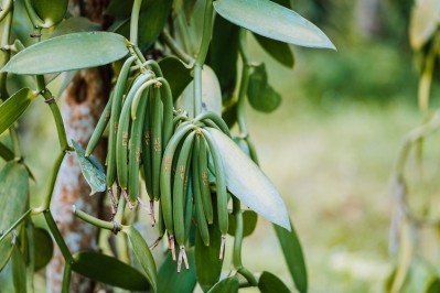 Researchers have developed analytical methods to detect adulteration associated with at least two sought after commodities: vanilla and black pepper / Pic: GettyImages/miniloc