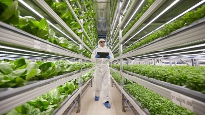 Vertical farming offers a solution to problems such as food security and lack of local fresh produce in urban areas. Image: iFarm