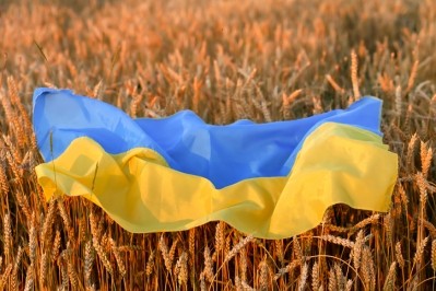 Ukraine accounts for 12% of global wheat exports. Russia and Ukraine together make up nearly a third of global wheat exports. Image: Getty/Anna Koberska