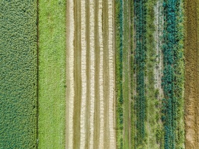 A new research project, funded by Horizon Europe, is looking to prove its benefits on home soil and encourage uptake for sustainable crop production across the bloc. GettyImages/yuelan