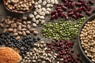The shift from animal to plant-based proteins is not moving fast enough to meet Dutch national goals for climate, nitrogen, and combating deforestation, according to a group of public-private actors. GettyImages/Janine Montagne