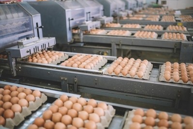 The study has the potential to make egg production more humane. Image source: Edwin Tan/Getty Images