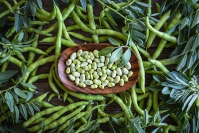 Fava beans can grow in Europe, but several problems remain. Image Source: Getty Images/MEDITERRANEAN