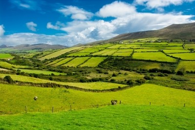 Much of Ireland's dairy sector is run through eight coops. Image source: grafxart8888/Getty Images