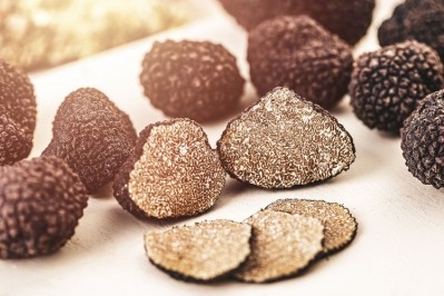 MycoTechnology has identified a 'clean' sweet protein from the honey truffle - a fungus that grows wild in Eastern Europe. Image source: MycoTechnology