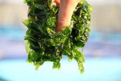 Seakura's has developed a unique land-based production system for seaweed
