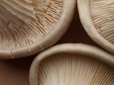 The packaging is specifically catered to keeping mushrooms safe. Image Source: Martin Barraud/Getty Images