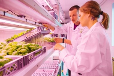 An indoor farming start-up is applying ultrasonic technology to grow crops. Image: LettUs Grow