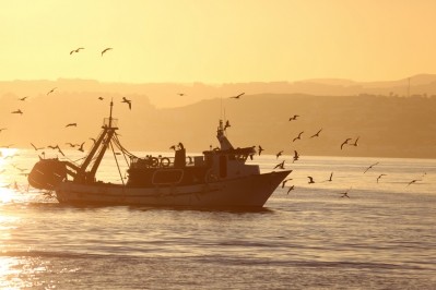 Making seafood more trusted, transparent and sustainable ©iStock / typhoonski
