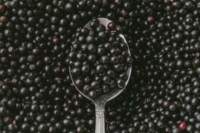 Consumers are exploring the much-lauded functional benefits of elderberries, says data firm Tastewise. Image: Getty/DedMityay